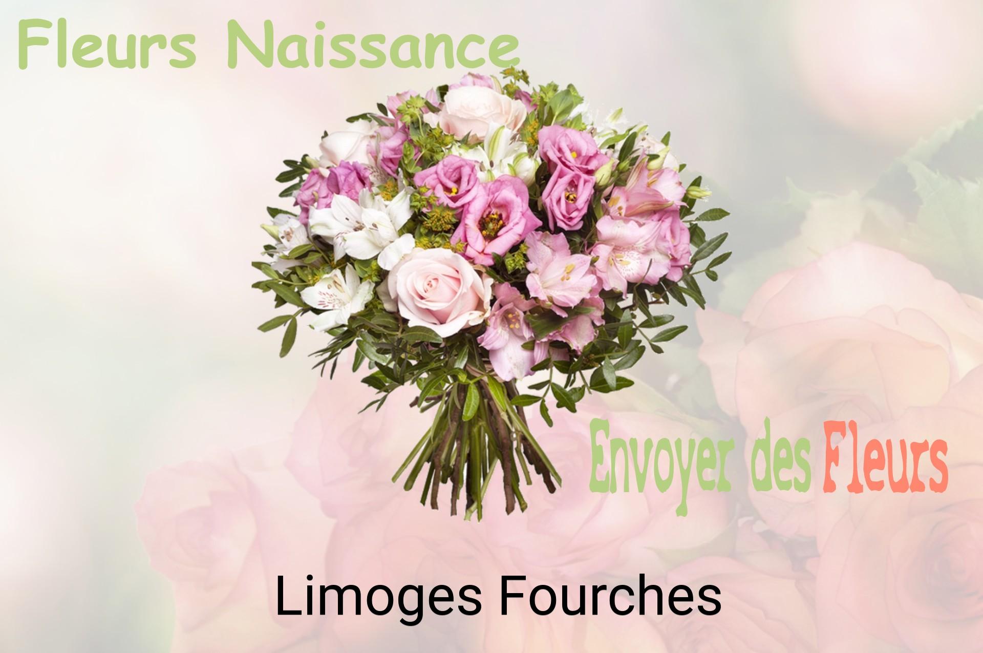 Bouquet de fleurs de naissance livré à Limoges-Fourches