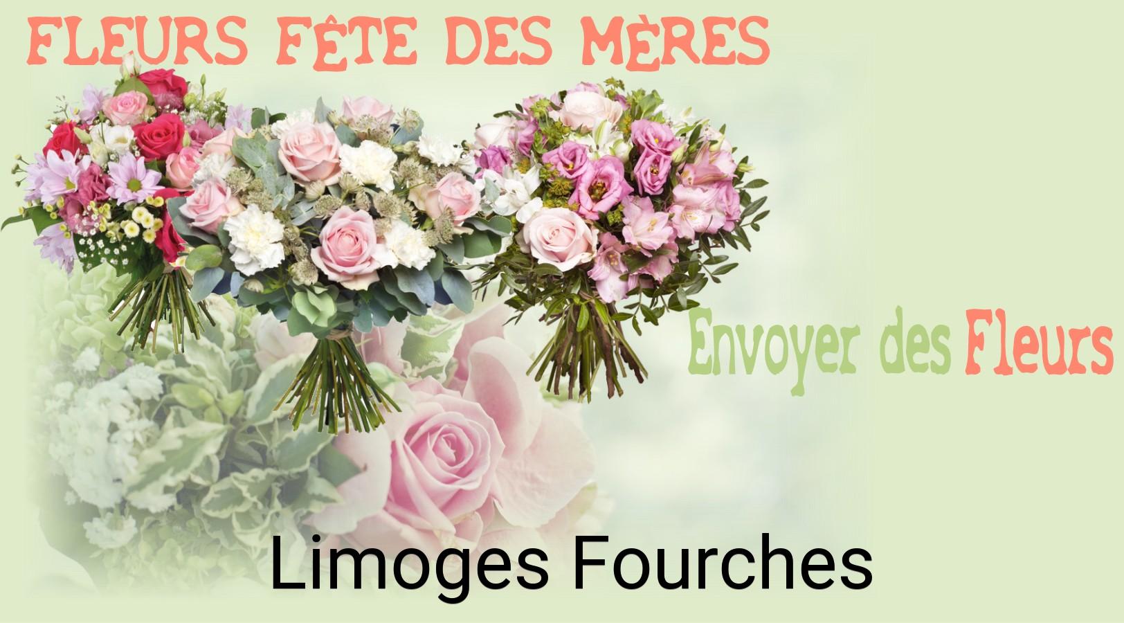 Bouquet de Fête des Mères livré à Limoges-Fourches